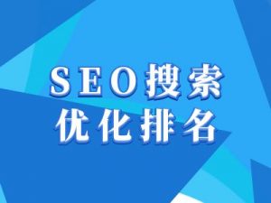抖音搜索SEO教程，抖音SEO搜索优化排名-第一资源库