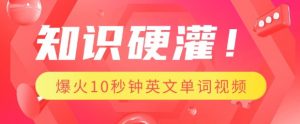知识硬灌，1分钟教会你，利用AI制作爆火10秒钟记一个英文单词视频-第一资源库
