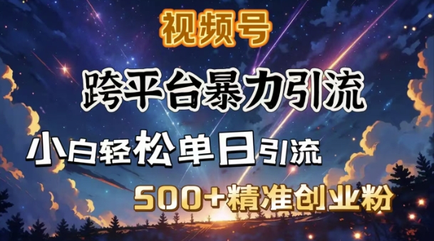 跨平台暴力引流,私域完美闭环,日引500+精准创业粉-第一资源库