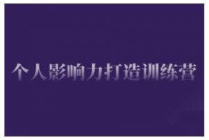 个人影响力打造训练营,掌握公域引流、私域运营、产品定位等核心技能,实现从0到1的个人IP蜕变-第一资源库
