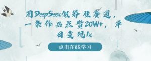 用DeepSeek做养生赛道,一条作品点赞20W+,单日变现1k-第一资源库
