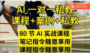 AI指令实战课,课程+案例,80节AI实战课程,笔记指令随意享用,课程指令随意享用-第一资源库