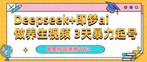 小白用DeepSeek+即梦做ai养生视频，一条作品涨粉5万+，单日收益多张-第一资源库