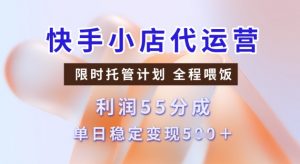 快手小店代运营3.0,模式新升级,收益55分,稳定单日5张【揭秘】-第一资源库