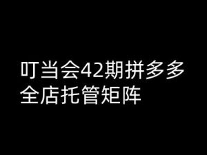 叮当会拼多多打爆班原创高阶技术第42期,拼多多全店托管矩阵-第一资源库