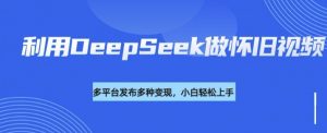 利用DeepSeek做怀旧视频,流量号多渠道变现能力强-第一资源库