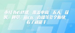 小红书必修课,覆盖电商,无人,获客,种草,mcn,直播等多个板块,看了就能干-第一资源库