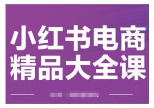 小红书电商精品大全课，快速掌握小红书运营技巧，实现精准引流与爆单目标，轻松玩转小红书电商-第一资源库