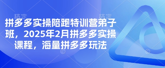拼多多实操陪跑特训营弟子班，2025年2月拼多多实操课程，海量拼多多玩法-第一资源库