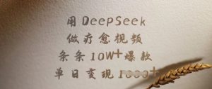用DeepSeek做疗愈视频,条条10W+爆款,单日变现多张-第一资源库