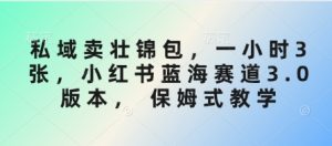 私域卖壮锦包，一小时3张，小红书蓝海赛道3.0版本， 保姆式教学-第一资源库