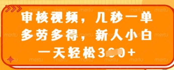 审核视频，几秒一单，多劳多得，新人小白一天轻松3张【揭秘】-第一资源库