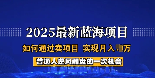 2025蓝海项目,普通人如何通过卖项目,实现月入过W,全过程【揭秘】-第一资源库