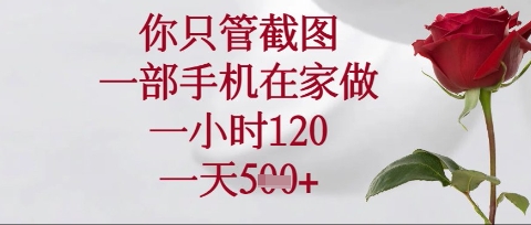 你只管截图，一部手机在家操作，一小时120.一天5张【揭秘】-第一资源库