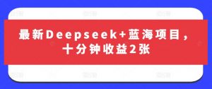 最新Deepseek+蓝海项目，十分钟收益2张-第一资源库