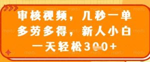审核视频，几秒一单，多劳多得，新人小白一天轻松3张【揭秘】-第一资源库