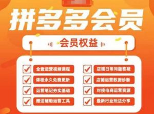 2025拼多多运营实战课，40节全流程教学，覆盖拼多多运营全链路-第一资源库