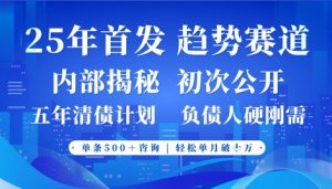 2025年首次公开,真正的事业型赛道,客咨不断,单月轻松破W-第一资源库