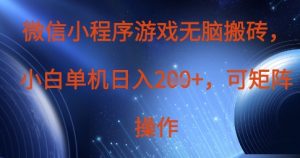 微信小程序游戏无脑搬砖，单设备日入2张+，可矩阵操作-第一资源库