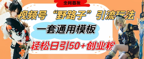 视频号“野路子”玩法,评论区疯狂截流,一套模板单日单号引流50+创业粉-第一资源库