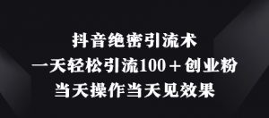 抖音绝密引流术，一天轻松引流100+创业粉，当天操作当天见效果-第一资源库