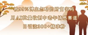 被99%博主忽略的财富密码：用AI批量收割中老年情感赛道，日引流300+精准粉-第一资源库