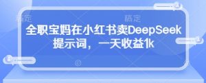 全职宝妈在小红书卖DeepSeek提示词,一天收益1k-第一资源库