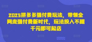 2025拼多多强付费玩法,带领全网走强付费新时代,玩法投入不超千元即可起店-第一资源库
