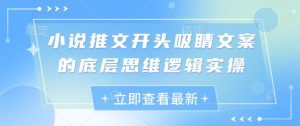 小说推文开头吸睛文案的底层思维逻辑实操-第一资源库