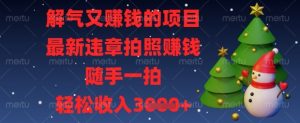 解气又挣钱的项目，最新违章拍照挣钱，随手一拍，轻松收入数张【揭秘】-第一资源库