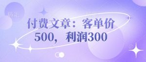 付费文章:客单价500,利润300-第一资源库