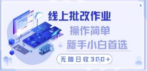 线上批改作业，操作简单新手小白首选，无脑日收300+【揭秘】-第一资源库