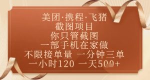 飞猪美团截图项目,你只管截图,一部手机在家做,正规平台无套路,一天5张+【揭秘】-第一资源库