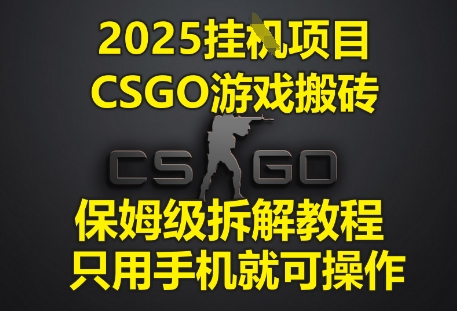 2025挂G项目，CSGO游戏搬砖，保姆级拆解教程，只用手机就可操作【揭秘】-第一资源库