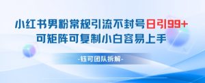 小红书男粉常规引流不封号日引99+变现简单 可矩阵可复制小白容易上手-第一资源库