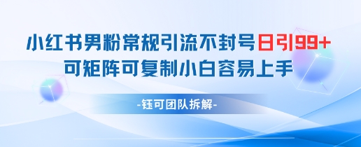 小红书男粉常规引流不封号日引99+变现简单 可矩阵可复制小白容易上手-第一资源库