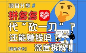【2025最新】拼多多代坎助力项目深度拆解：还能挣钱吗?全流程玩法-第一资源库