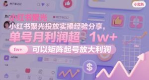 小红书聚光投放实操经验分享,单号月利润超1w+,可以矩阵起号放大利润-第一资源库