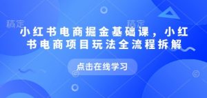 小红书电商掘金课,小红书电商项目玩法全流程拆解(更新5月)-第一资源库
