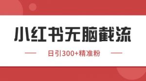 小红书只要你有同行就能获客，独家野路子获客玩法，暴力截流【揭秘】-第一资源库