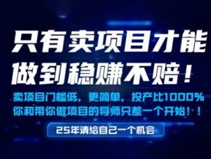 只有卖项目才能做到稳挣不赔,门槛低,更简单,你也可以年入百个W【揭秘】-第一资源库