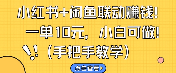 小红书+闲鱼联动挣钱，一单10元，小白可做-第一资源库