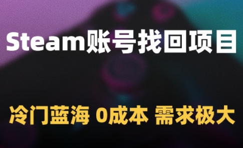 Steam账号找回项目,冷门蓝海,0成本,需求极大-第一资源库