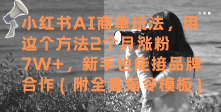 小红书AI商单玩法，用这个方法2个月涨粉7W+，新手也能接品牌合作(附全套指令模板)-第一资源库