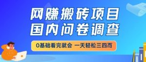 网创搬砖项目，国内问卷调查，小白轻松上手，一天三四张的也不难，干就完了【揭秘】-第一资源库