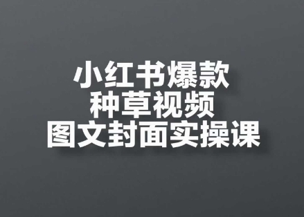 小红书爆款种草视频图文封面实操课,开店、选品、引流、变现全流程-第一资源库