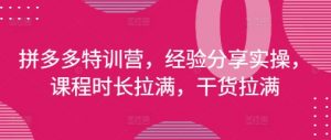 拼多多特训营，经验分享实操，课程时长拉满，干货拉满(更新25年4月)-第一资源库
