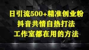 日引流500+精准创业粉，抖音共情自热打法，工作室都在用的方法-第一资源库