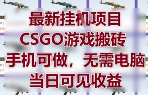 最新挂G项目，CSGO游戏搬砖，手机可做，无需电脑，当日见收益【揭秘】-第一资源库