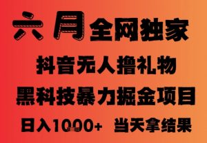 25年6月抖音无人直播最新暴力撸音浪掘金,小白可做,可批量矩阵放大,长期稳定日入1k+【揭秘】-第一资源库